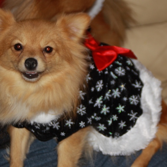 Meet your Posher, Susan - Picture 4 of 8